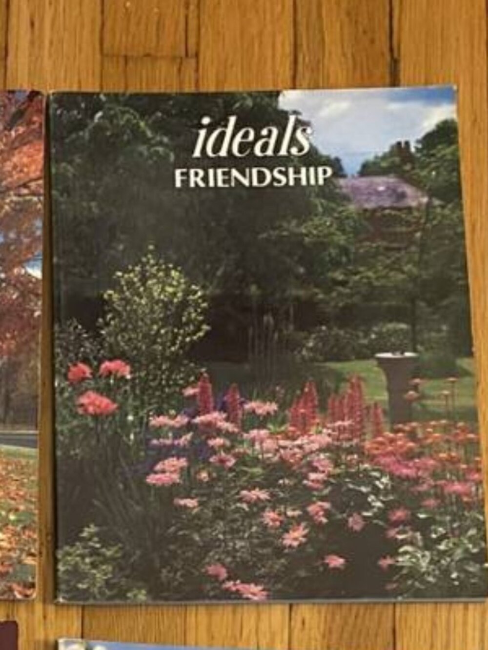 Ideals Magazine--Friendship--1982
